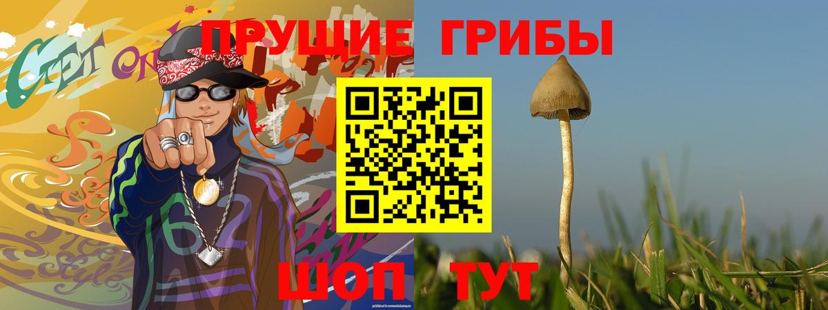 Псилоцибиновые грибы мухоморы  Вход с VPN  Псилоцибиновые грибы Cubensis  Ишимбай 